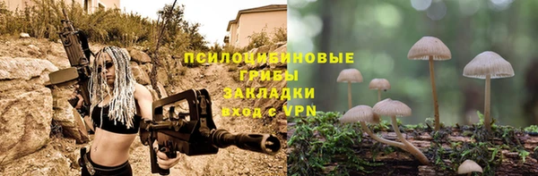 не бодяженный Бородино